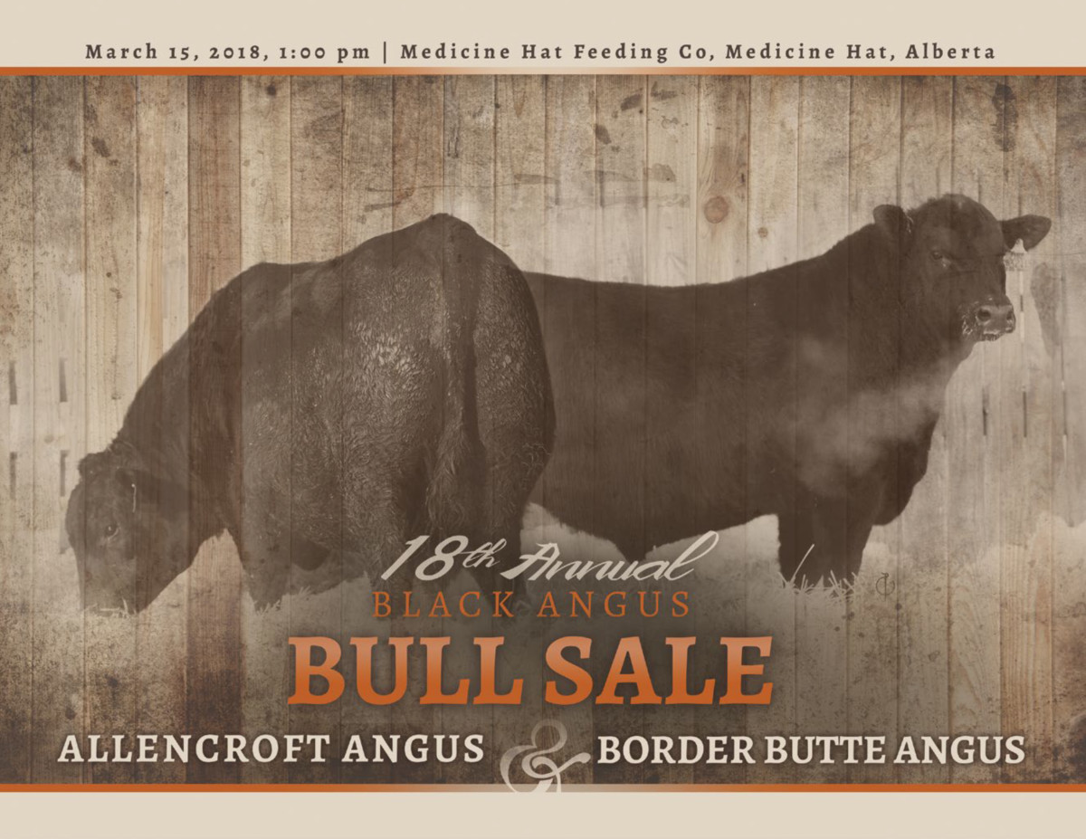 Allencroft/Border Butte Black Angus Bull Sale Golden Thread Livestock